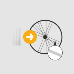 Titelseite 26 Titelseite -Abus Verkäufe Einspeichservice verstaerkt silbrig sela s 01 1280x1280